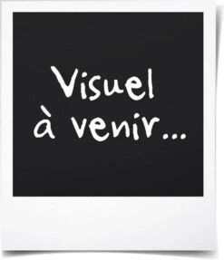 Black Opal True Color Skin Perfecting Stick Foundation - Heavenly Honey (240) 6 Black Opal True Color Skin Perfecting Stick Foundation - Heavenly Honey (240) -Cosmetica Promotiewinkel 1031x1200