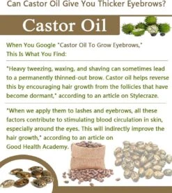 Your Beauty Tree ® Wimper Serum Met Echte Castor Olie |100% Natuurlijke Wimpergroei| Castor Oil Eyelash Serum|Wonder Olie | Wimper Groei | Wenkbrauw Serum | Lash Serum | Wimper Groeimiddel 13 Your Beauty Tree ® Wimper Serum Met Echte Castor Olie |100% Natuurlijke Wimpergroei| Castor Oil Eyelash Serum|Wonder Olie | Wimper Groei | Wenkbrauw Serum | Lash Serum | Wimper Groeimiddel -Cosmetica Promotiewinkel 1075x1200 1