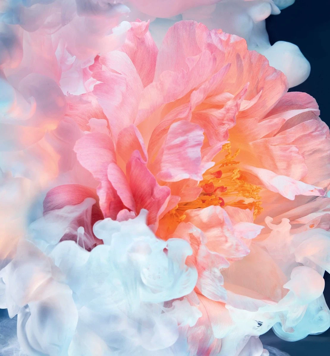 Dior Joy Intense 90 Ml - Eau De Parfum - Damesparfum 7 Dior Joy Intense 90 Ml - Eau De Parfum - Damesparfum - Afbeelding 5