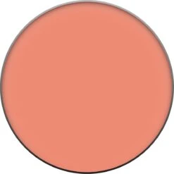 L’Oréal Paris True Match - 160 Pêche - Blush 37 L’Oréal Paris True Match - 160 Pêche - Blush -Cosmetica Promotiewinkel 1199x1200 8