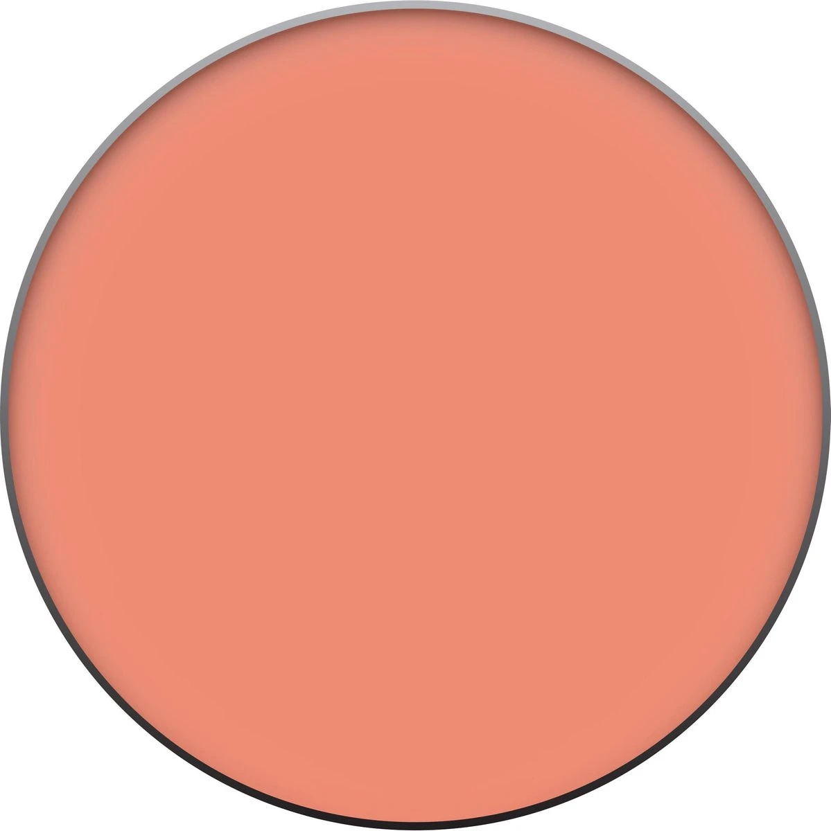 L’Oréal Paris True Match - 160 Pêche - Blush 20 L’Oréal Paris True Match - 160 Pêche - Blush - Afbeelding 18