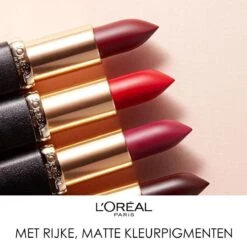 L'Oréal Paris Color Riche Matte Lippenstift - 655 Copper Clutch -Cosmetica Promotiewinkel 1200x1198 19