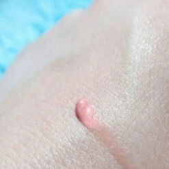 Lippenbalsem Natural Pink Biodermal Sun Lipbalm Lipbalsem SPF25 - Tube 12 Ml - -Cosmetica Promotiewinkel 1200x1200 239