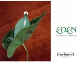 Cacharel Eden 50 Ml - Eau De Parfum - Damesparfum -Cosmetica Promotiewinkel 1200x987 2