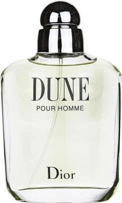 Dior Dune Pour Homme 100 Ml - Eau De Toilette - Herenparfum