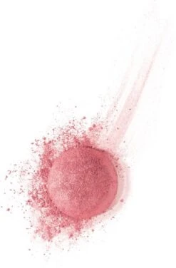 Bourjois Little Rount Pot Blush 095 Rose De Jaspe -Cosmetica Promotiewinkel 789x1200